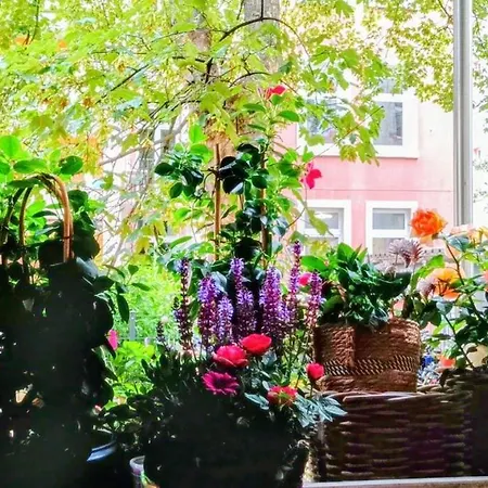 De Luxe 15 Min From Frankfurt Fair And European Bank